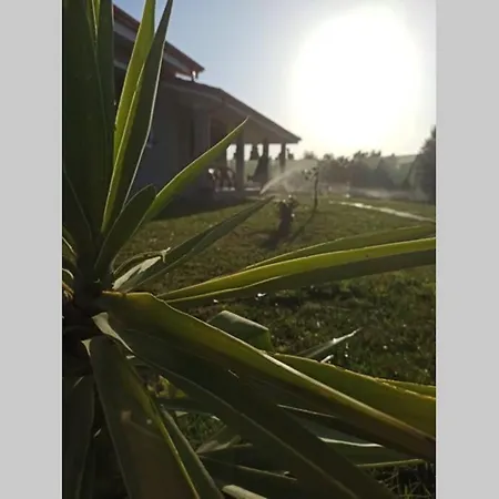 Il Girasole بيت للعطل *